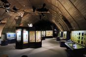 museum dhistoire naturelle blois 8-2025 2239